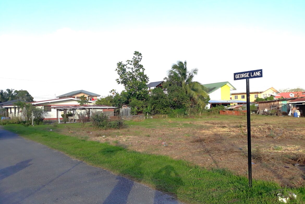 Cen-Trin Real Estate Management Services Limited - Chin Chin Main Road - 10,000Sq Ft Land for Sale - $1.5M