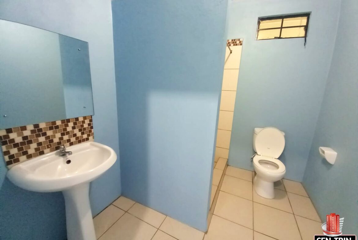 Bathroom with a white sink, toilet, and mirror.