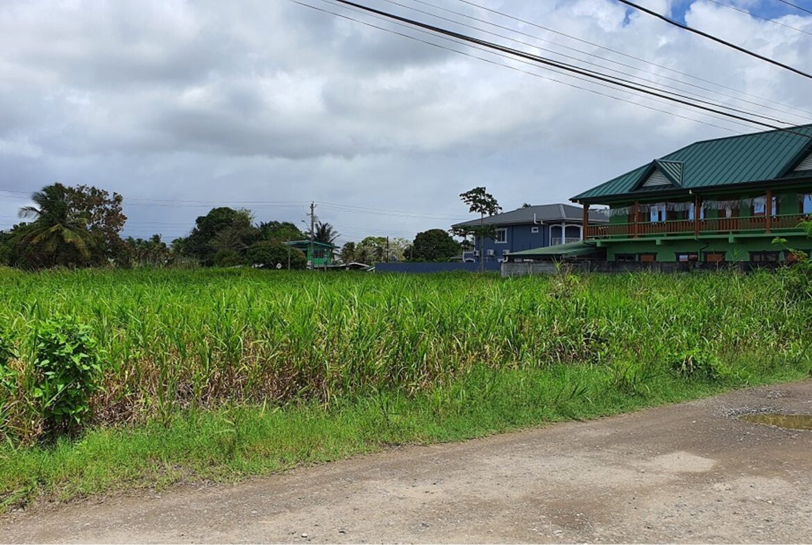 Approved residential development land in Madras - Cen-Trin Real Estate