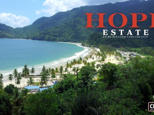 Land for sale Tobago Hope Estate