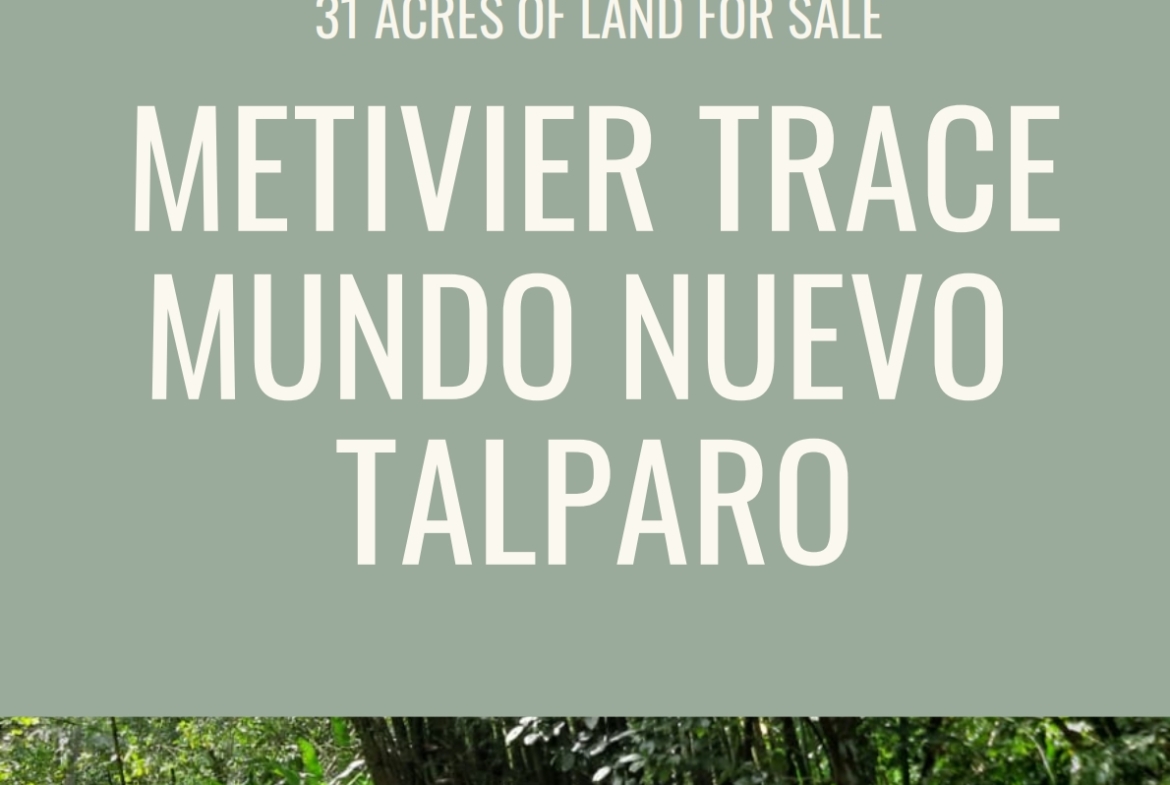 Land for sale in talparo as an investment Opportunity In Talparo