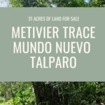 Land for sale in talparo as an investment Opportunity In Talparo