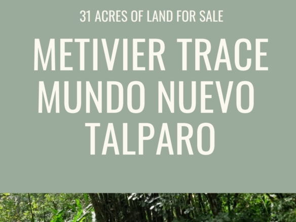 Land for sale in talparo as an investment Opportunity In Talparo