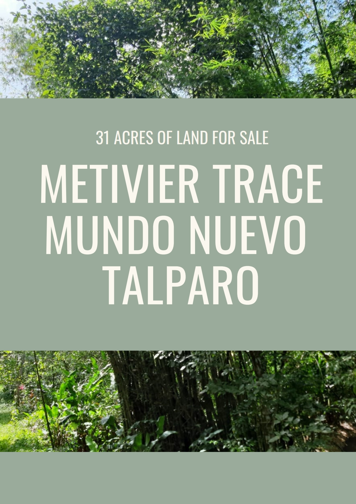 Land for sale in talparo as an investment Opportunity In Talparo