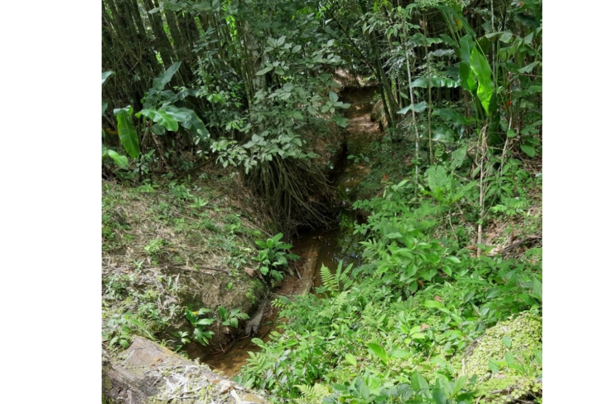 Land for sale in talparo as an investment Opportunity In Talparo with Photo showcasing the natural drainage system on the 31-acre property in Metivier Trace, Talparo, Trinidad.