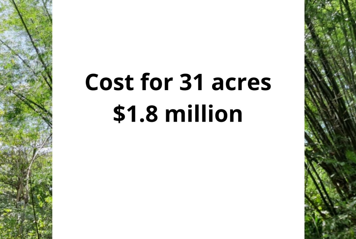 Land for sale in talparo as an investment Opportunity In Talparo with cover page
