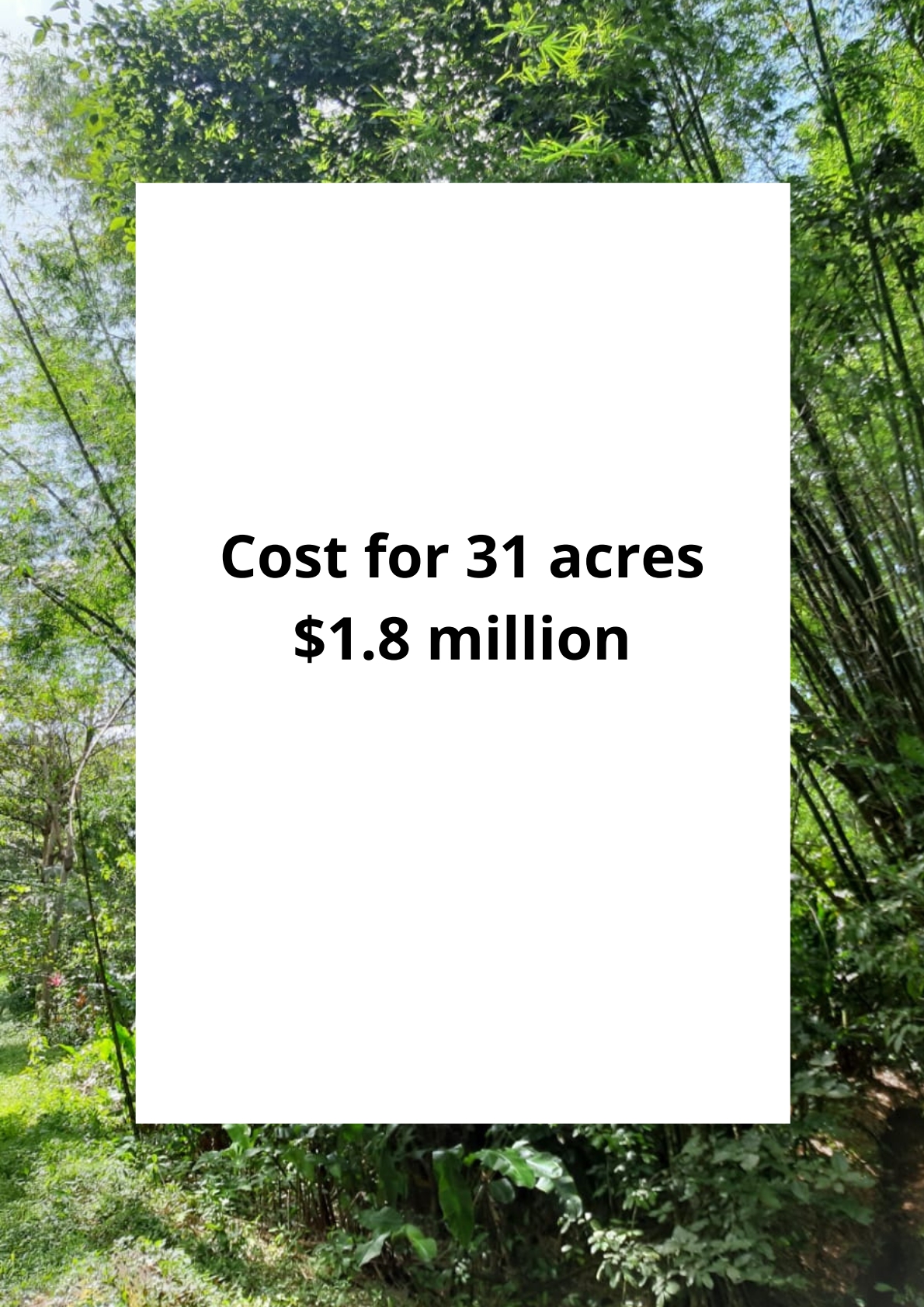 Land for sale in talparo as an investment Opportunity In Talparo with cover page