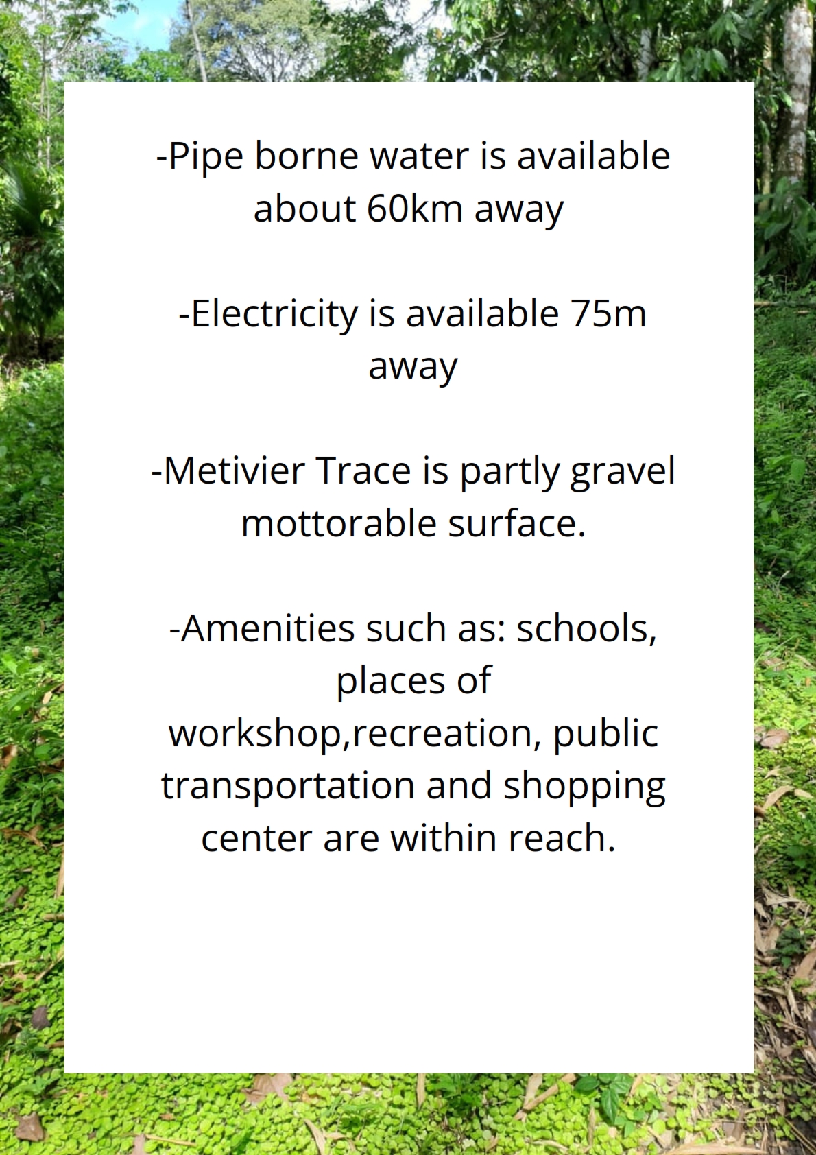 Land for sale in talparo as an investment Opportunity In Talparo with photo showcasing local amenities near the 31-acre property in Metivier Trace, Mundo Nuevo, Talparo, Trinidad.