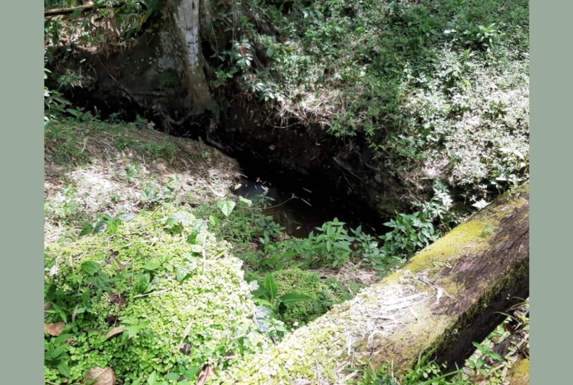 Land for sale in talparo as an investment Opportunity In Talparo with Photo showcasing the natural drainage system on the 31-acre property in Metivier Trace, Talparo, Trinidad.