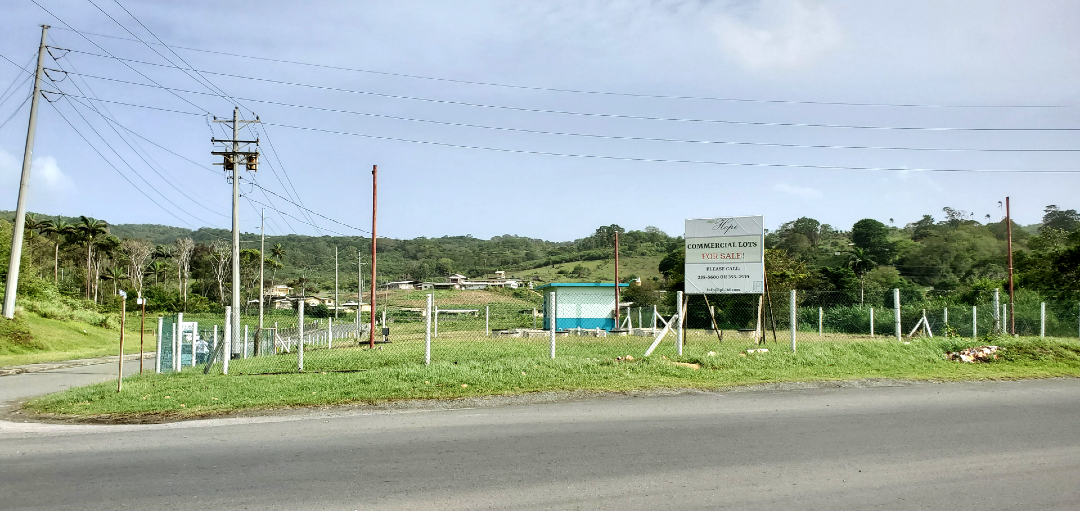 Land for sale tobago hope estate