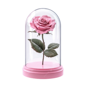 eternal rose led glass for sale cunupia