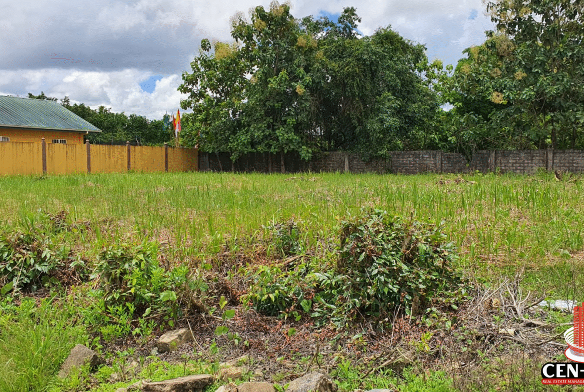 A wide view of the two combined plots of land for sale in Trinidad, showing lush green grass, some overgrowth, and surrounding fences/buildings, indicating a residential setting in Krystal Gardens.