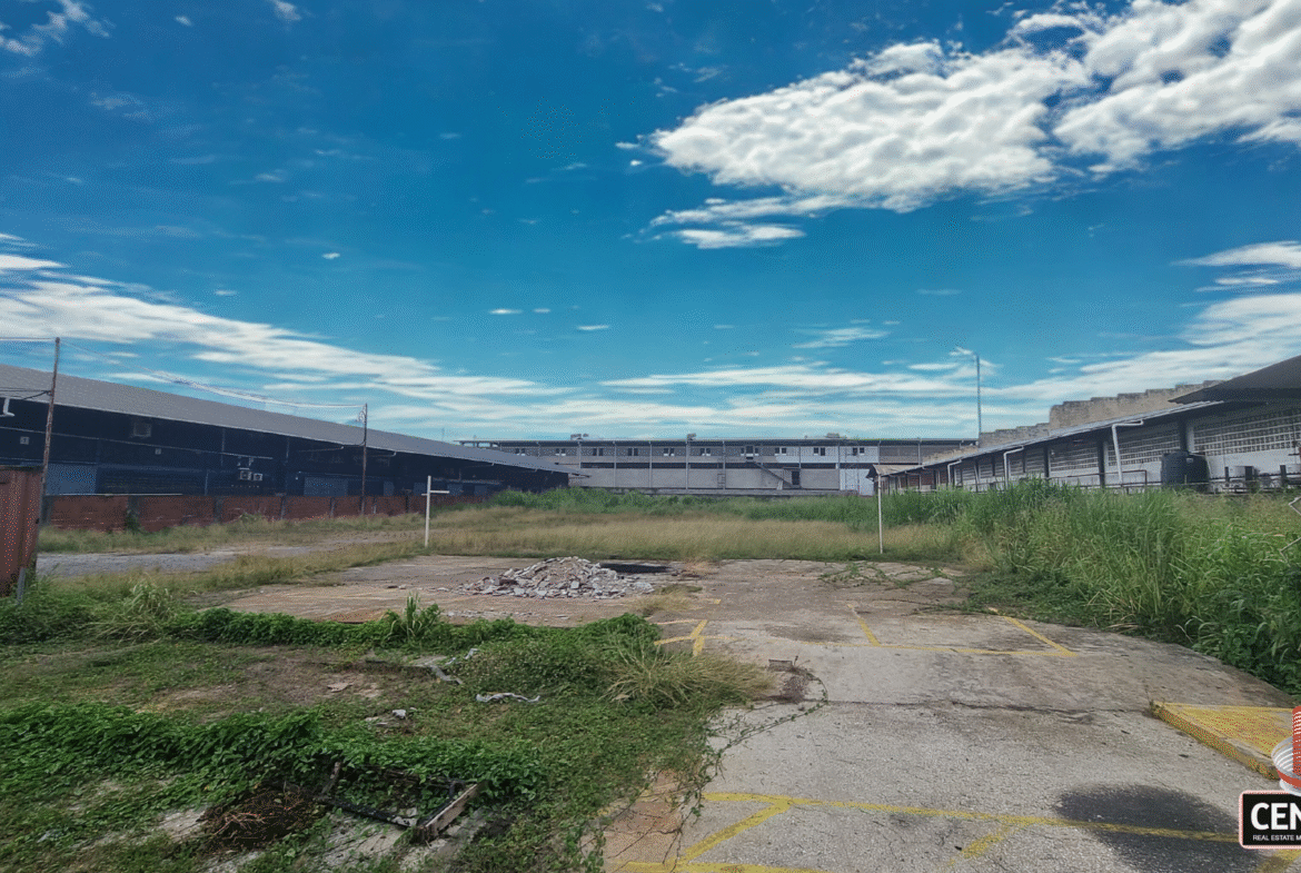 Ground-level view of the commercial land for rent on Patraj Trace, Aranguez, showing a cleared portion in the foreground, with existing commercial buildings in the background under a blue sky.