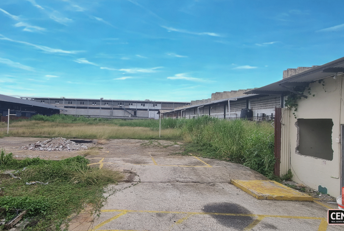 Wide-angle ground view of the commercial land for rent on Patraj Trace, Aranguez, showing a concrete slab foreground with debris, surrounded by tall grass and neighboring commercial structures under a bright sky.