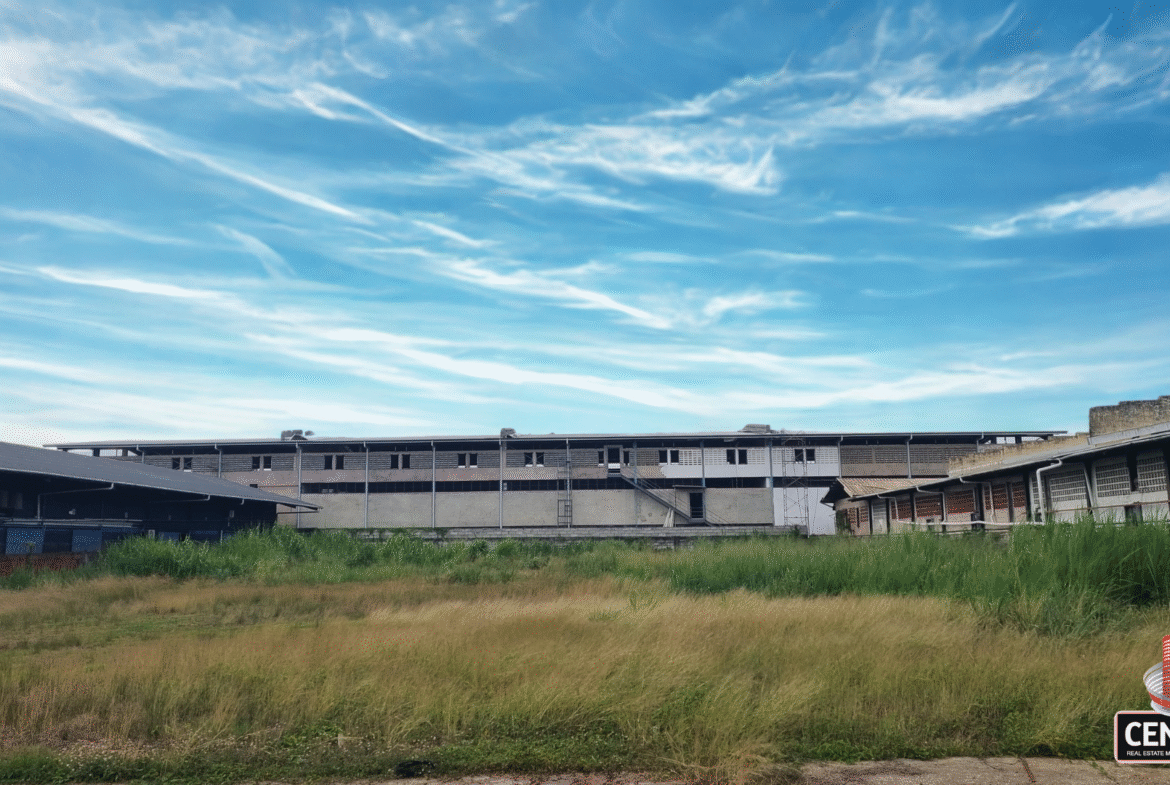 Ground-level view of the expansive commercial land for rent on Patraj Trace, Aranguez, showing a large open grassy field bordered by substantial commercial buildings under a wide, streaky blue sky.