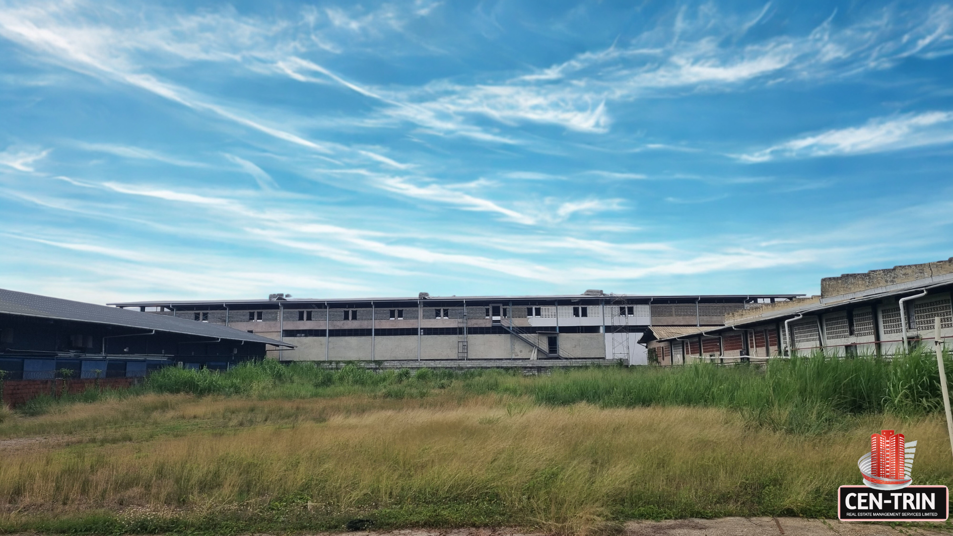Ground-level view of the expansive commercial land for rent on Patraj Trace, Aranguez, showing a large open grassy field bordered by substantial commercial buildings under a wide, streaky blue sky.