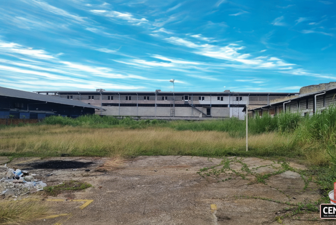 Ground-level view of the commercial land for rent on Patraj Trace, Aranguez, showing a partially cleared foreground with debris, leading to an open grassy area, bordered by large industrial buildings under a dynamic sky.